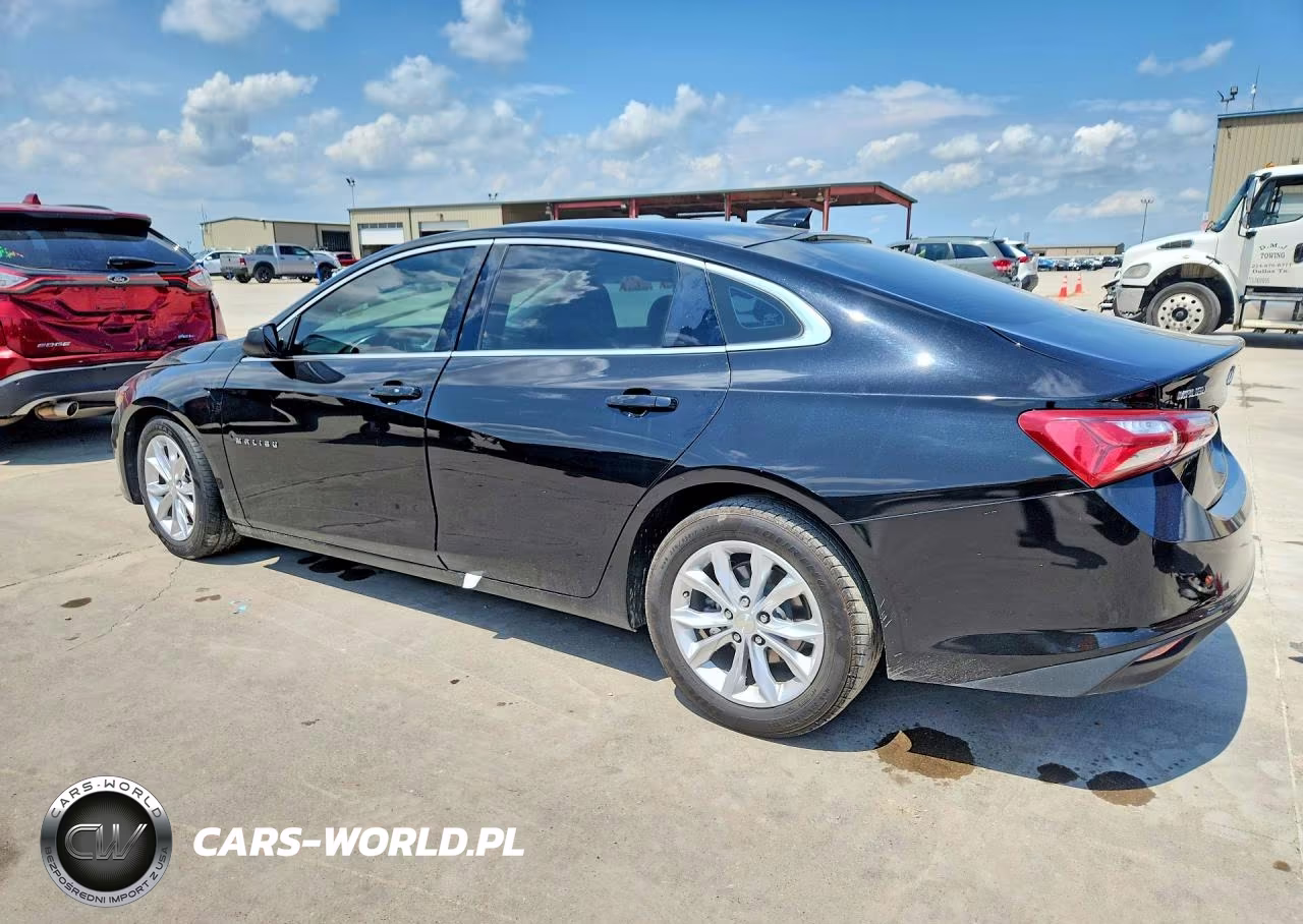 2019 Chevrolet Malibu Lt VIN:1G1ZD5ST0KF181075 - 2