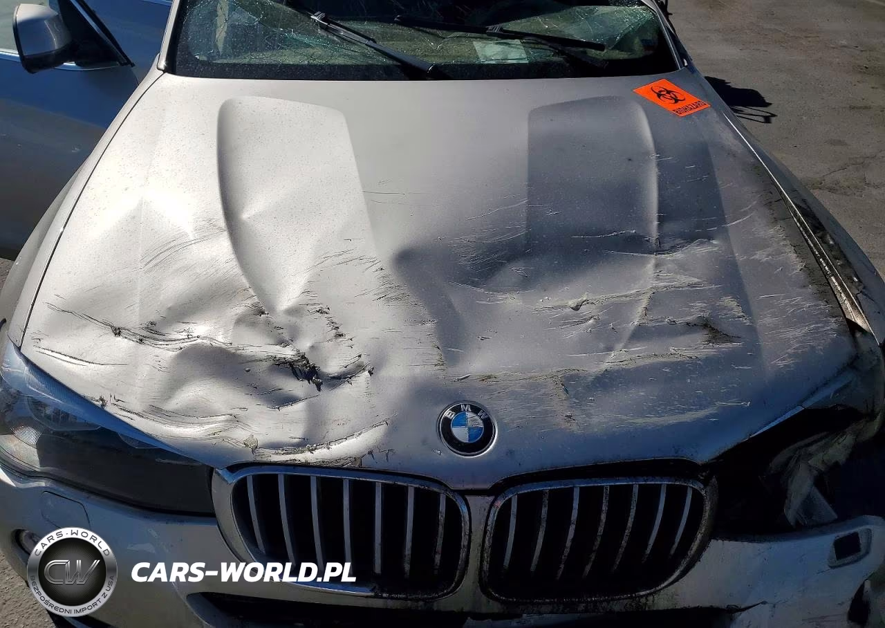 2015 BMW X3 xDrive28D VIN:5UXWY3C50F0E95497 - 12