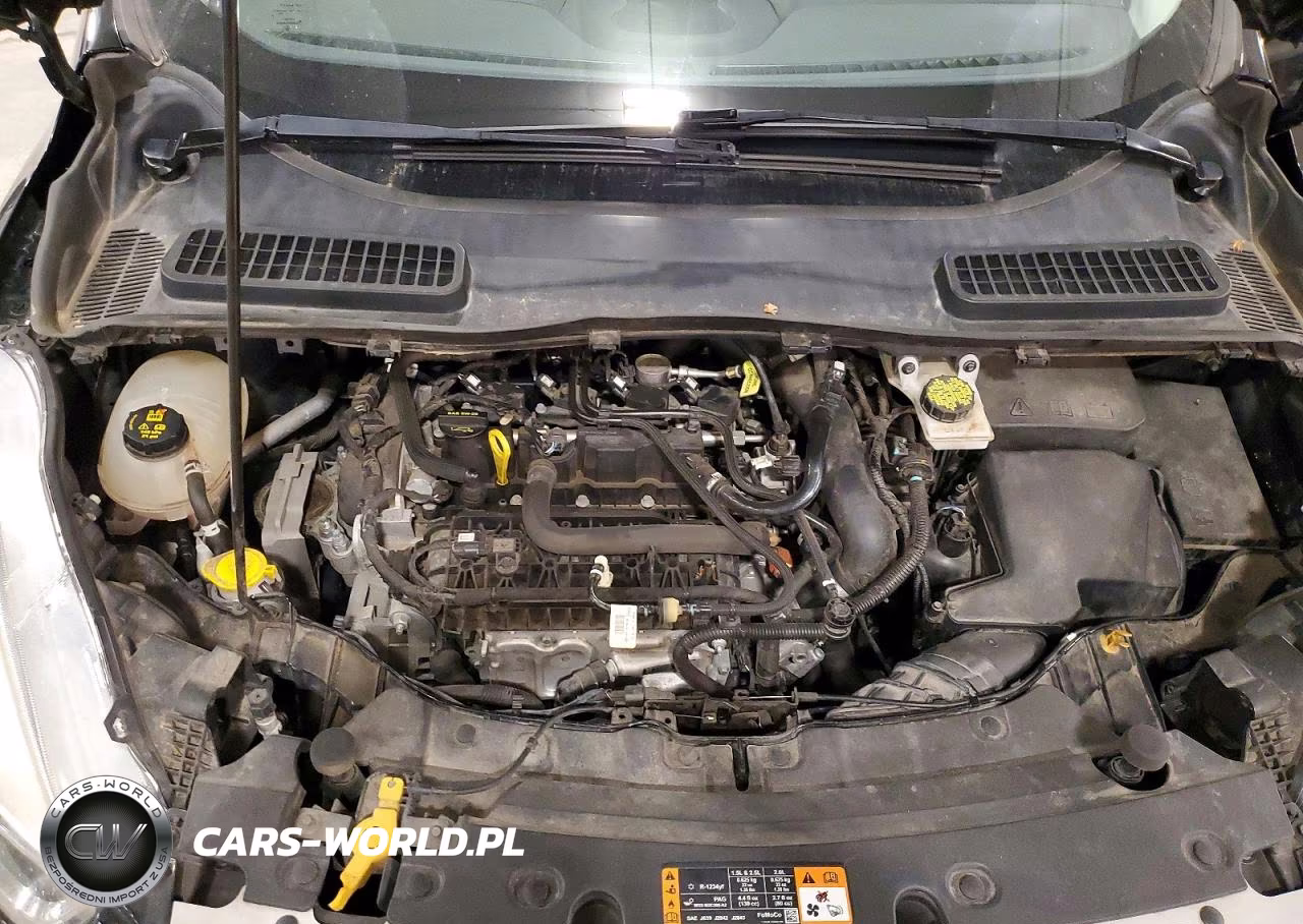 2019 Ford Escape Se VIN:1FMCU0GDXKUC26998 - 12