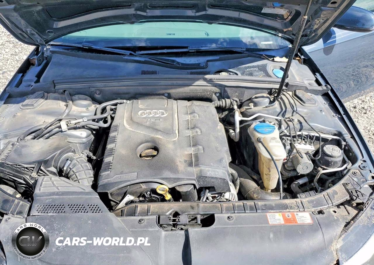 2010 Audi A4 Premium Plus VIN:WAUFFAFL5AN024165 - 11