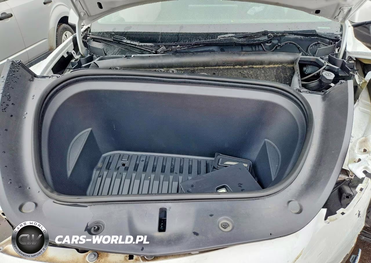 2023 Tesla Model Y VIN:7SAYGDEE2PA096123 - 11