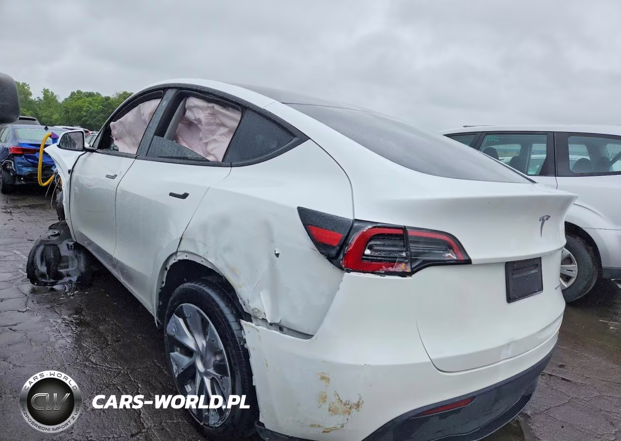 2023 Tesla Model Y VIN:7SAYGDEE2PA096123 - 2