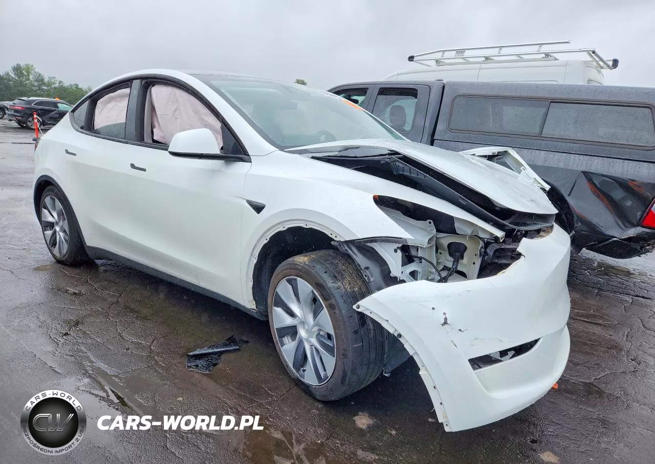 2023 Tesla Model Y VIN:7SAYGDEE2PA096123 - 4