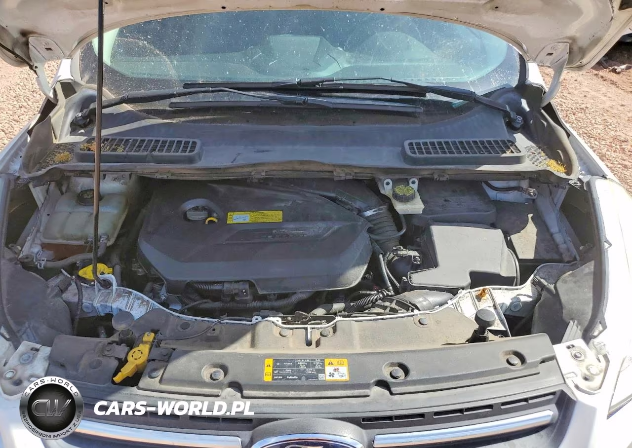 2013 Ford Escape Se VIN:1FMCU0GX9DUD70135 - 12