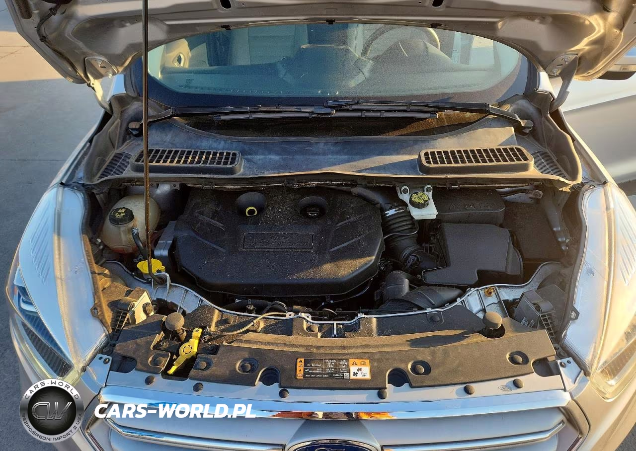 2019 Ford Escape Titanium VIN:1FMCU9J95KUA82155 - 12