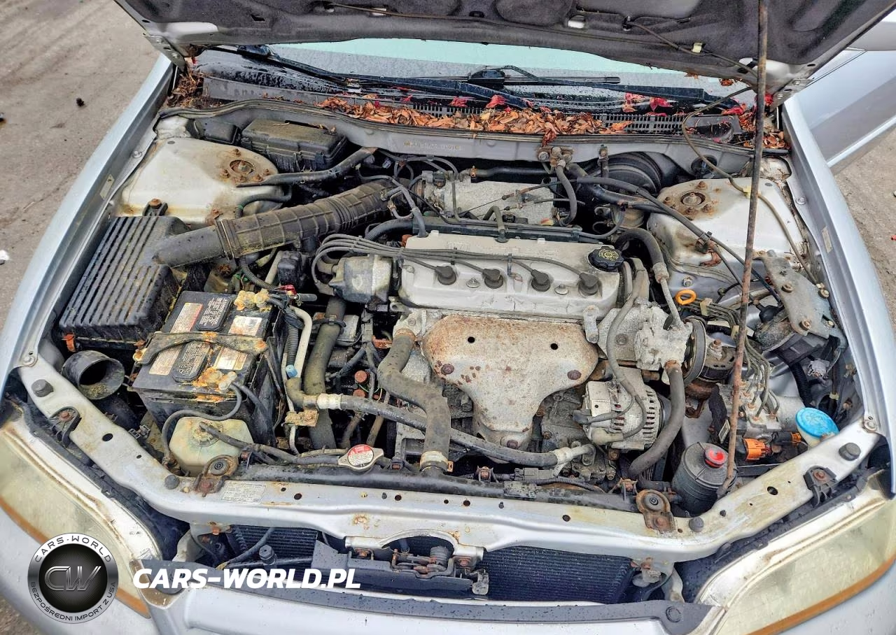 2002 Hond Accord VIN:1HGCG56662A166166 - 11