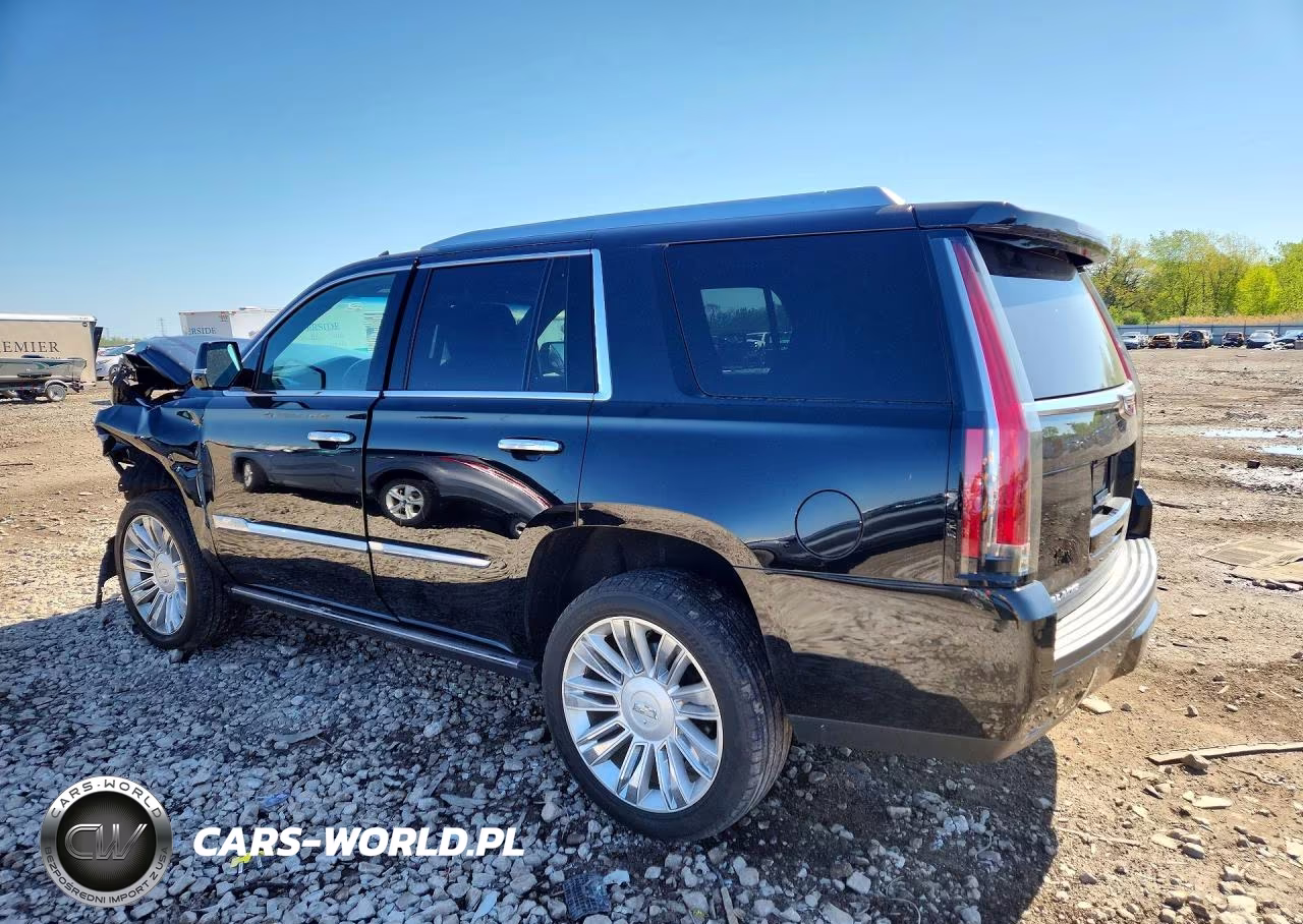 2017 Cadillac Escalade Platinum VIN:1GYS4DKJ5HR162525 - 2