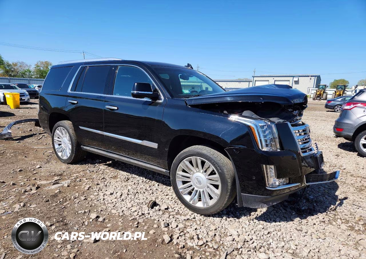2017 Cadillac Escalade Platinum VIN:1GYS4DKJ5HR162525 - 4