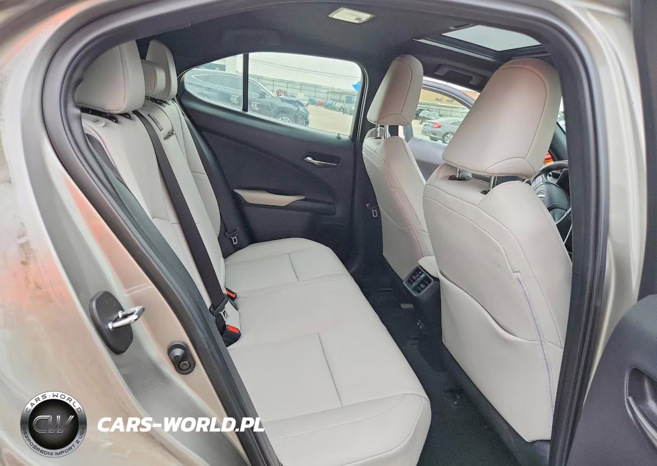2020 Lexus Ux 250H VIN:JTHP9JBH2L2027429 - 10