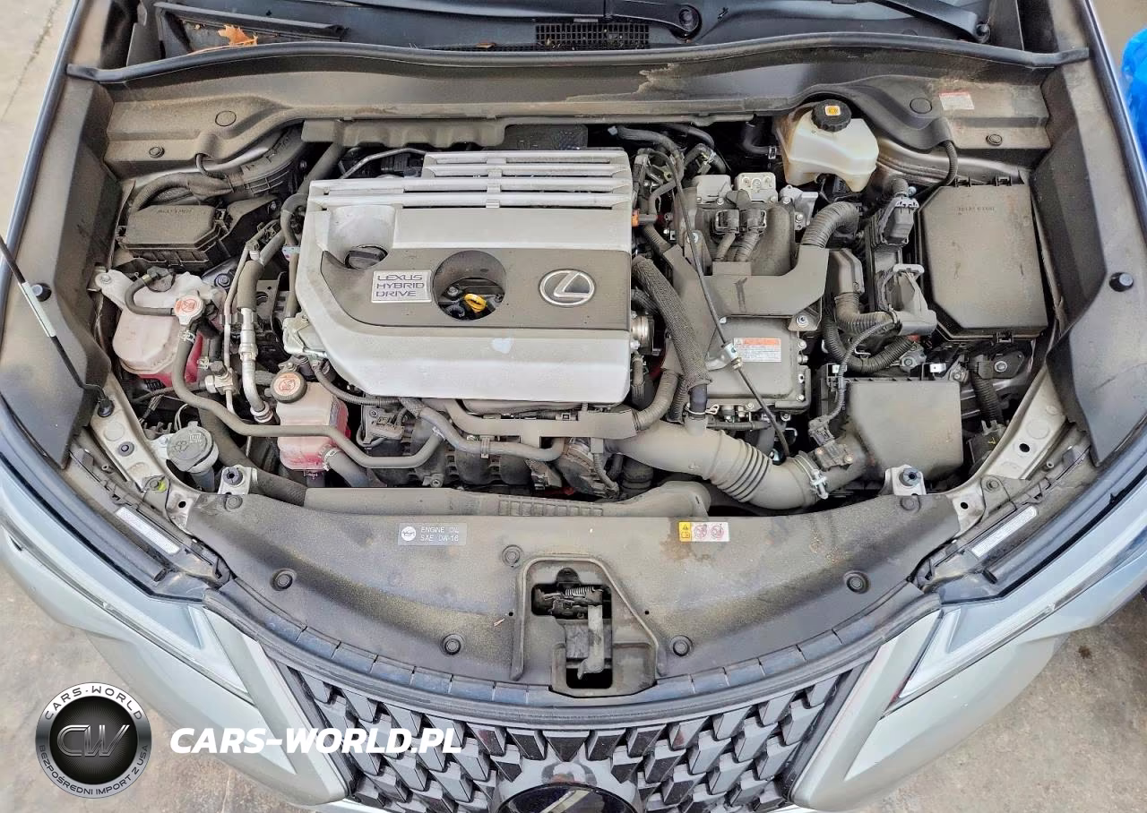 2020 Lexus Ux 250H VIN:JTHP9JBH2L2027429 - 11