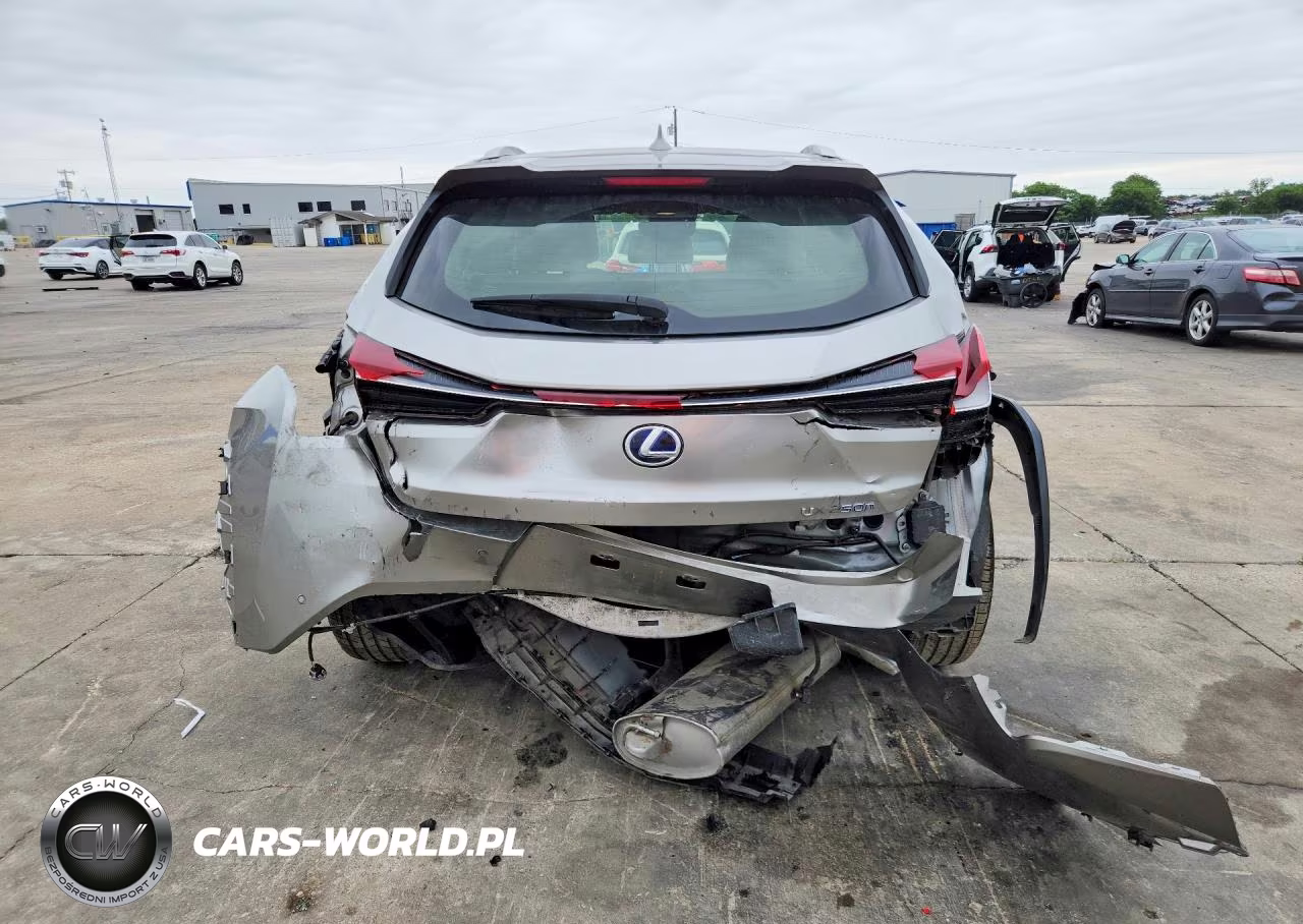 2020 Lexus Ux 250H VIN:JTHP9JBH2L2027429 - 6