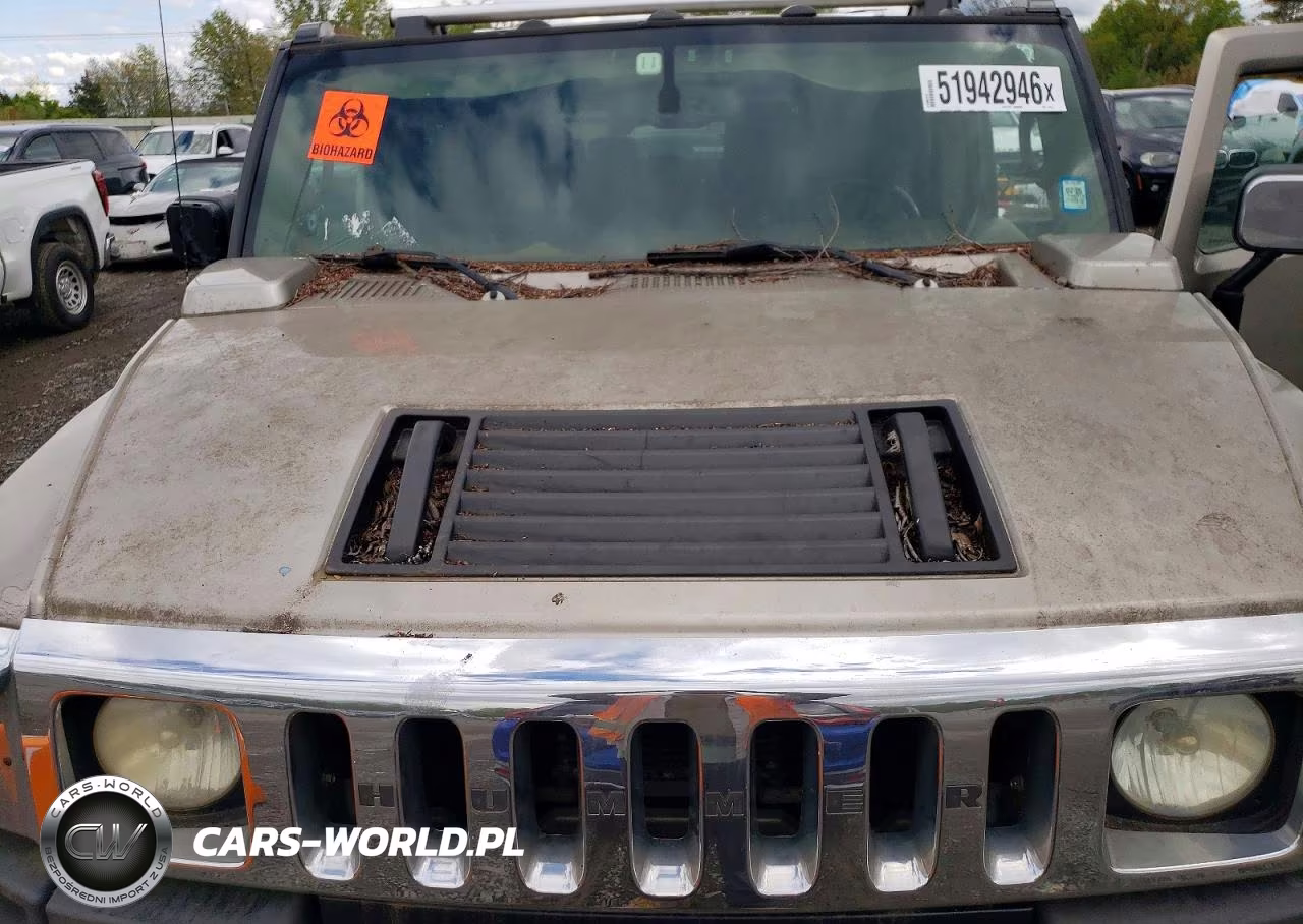 2004 Hummer H2 VIN:5GRGN23U64H118618 - 12