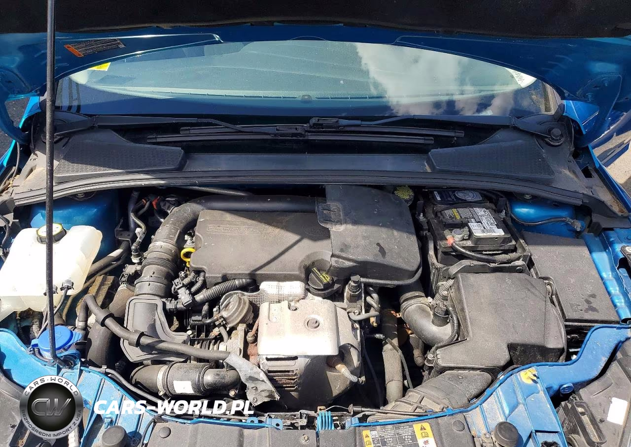 2015 Ford Focus VIN:1FADP3FE8FL213566 - 11