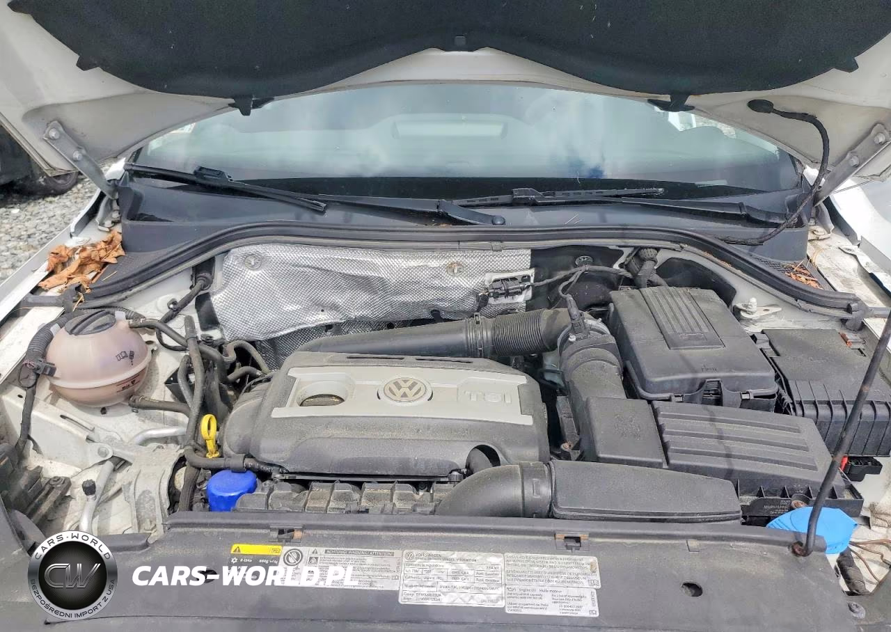 2014 Volkswagen Tiguan S VIN:WVGBV3AX1EW564957 - 12
