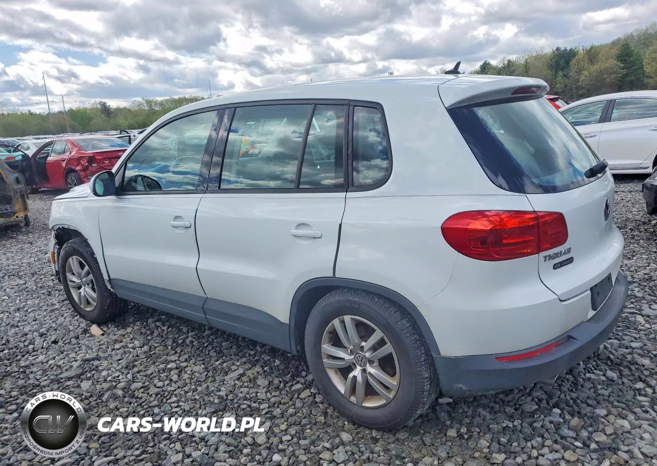 2014 Volkswagen Tiguan S VIN:WVGBV3AX1EW564957 - 2