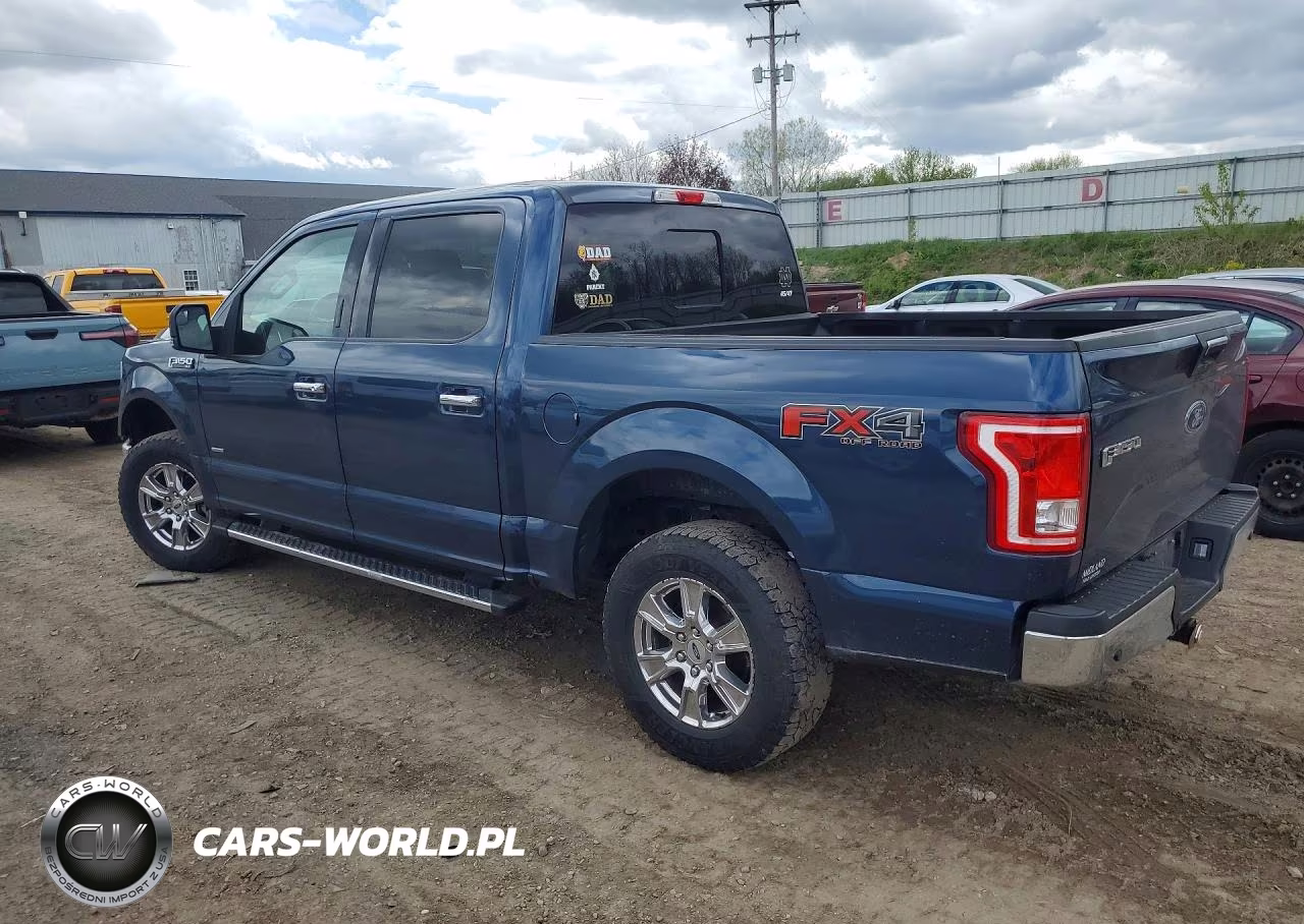 2016 Ford F150 Supercrew VIN:1FTEW1EP8GFD54193 - 2