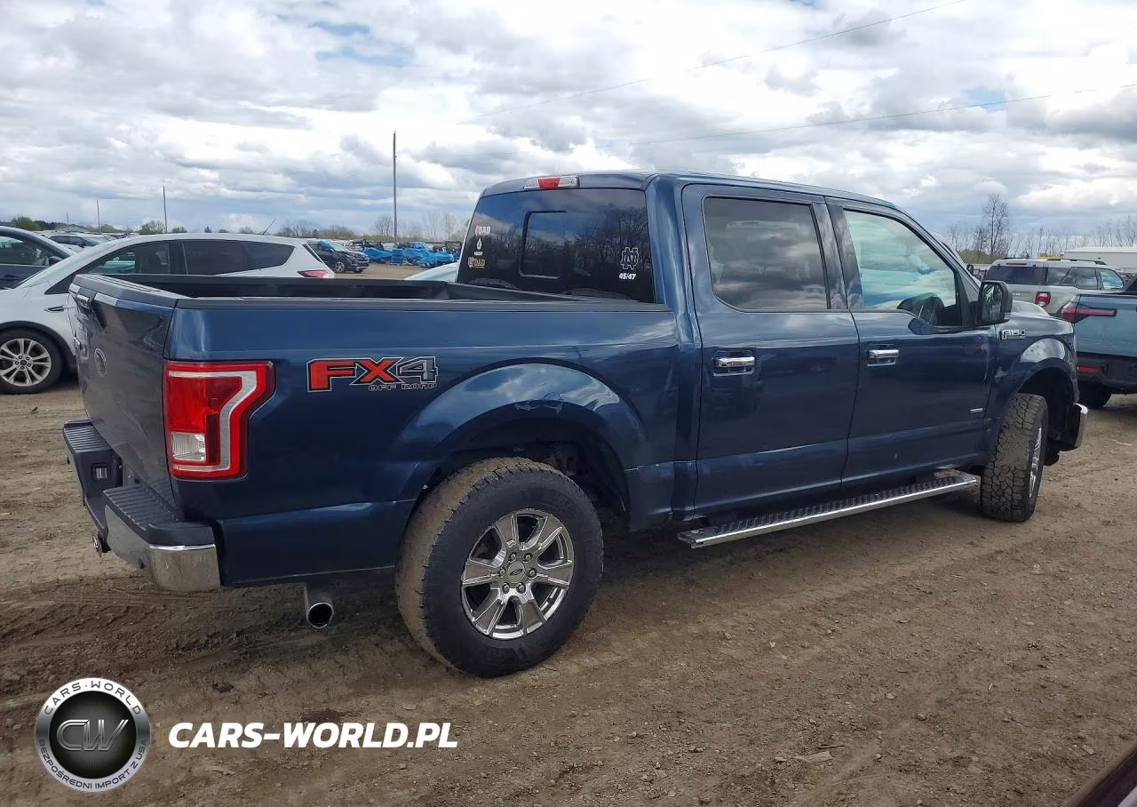 2016 Ford F150 Supercrew VIN:1FTEW1EP8GFD54193 - 3