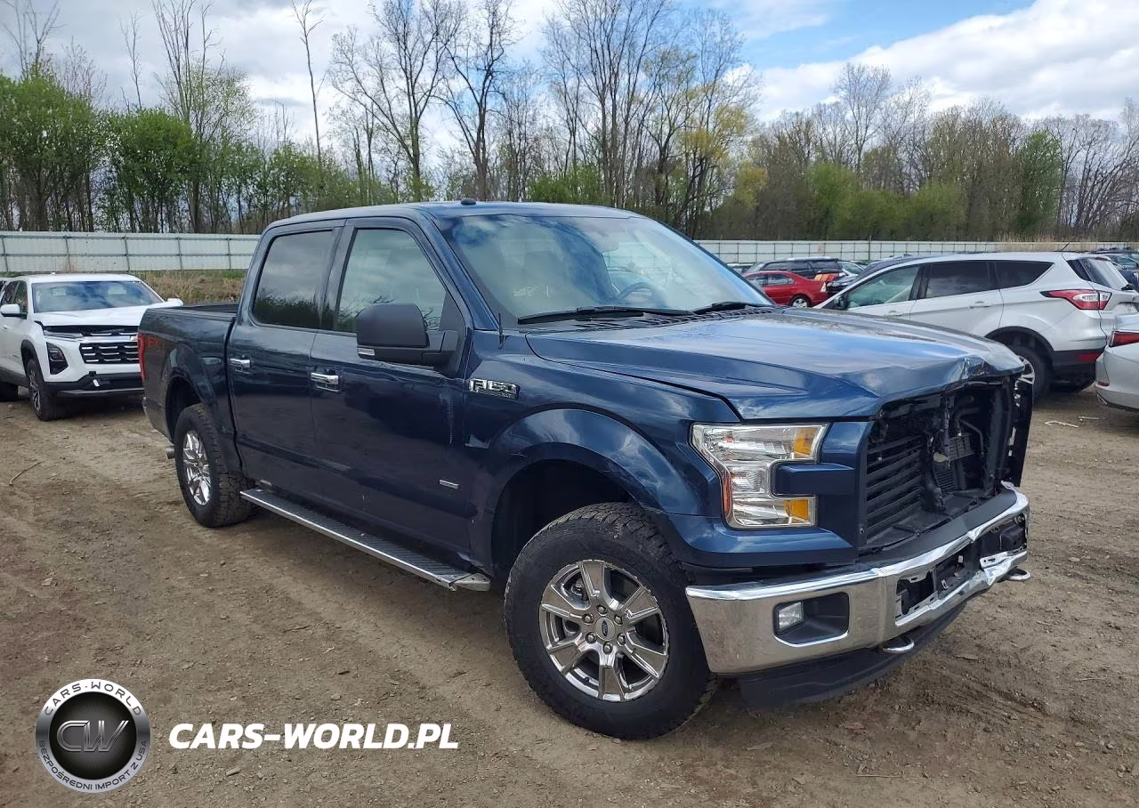 2016 Ford F150 Supercrew VIN:1FTEW1EP8GFD54193 - 4