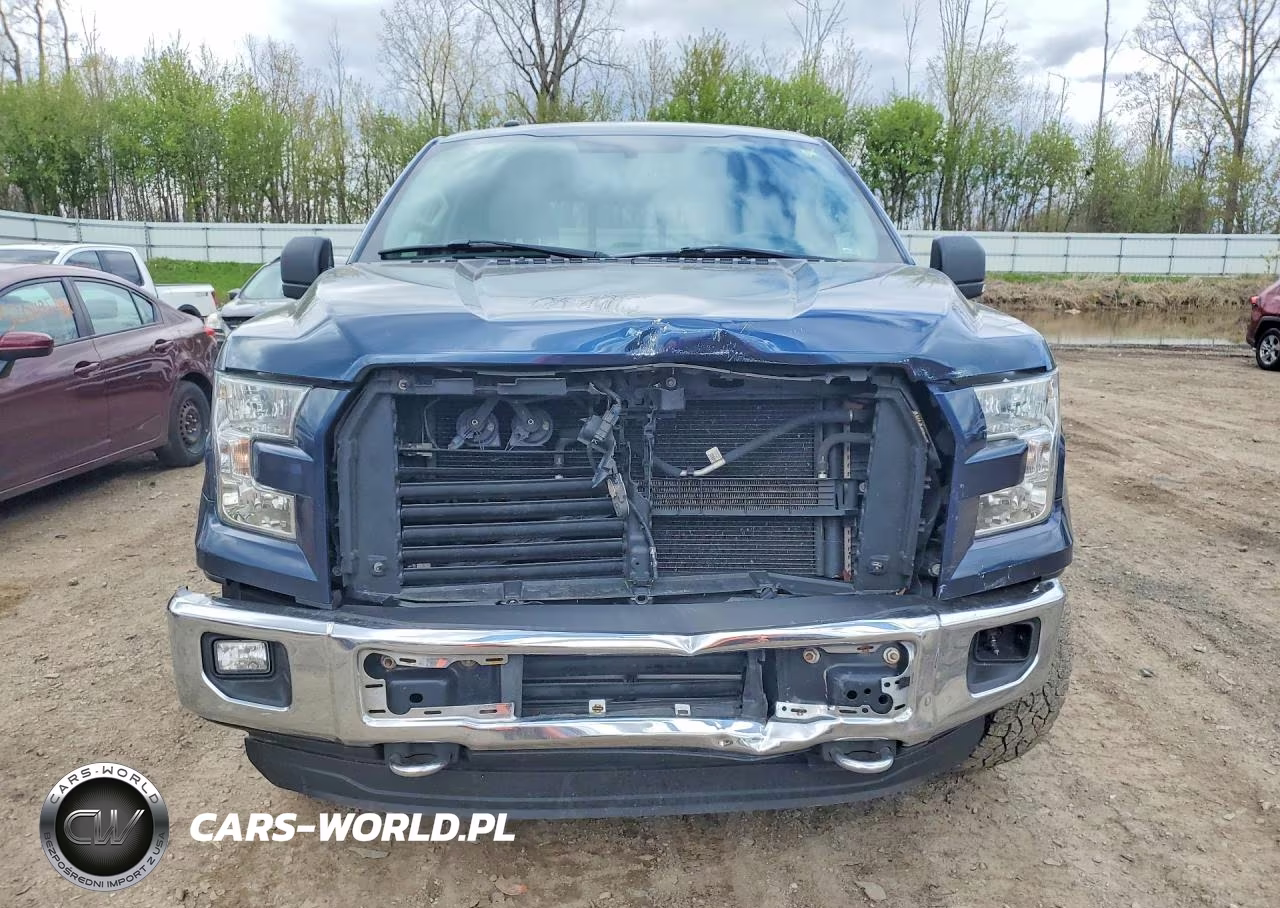 2016 Ford F150 Supercrew VIN:1FTEW1EP8GFD54193 - 5