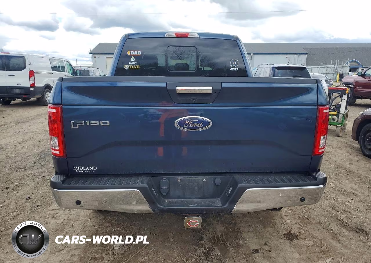2016 Ford F150 Supercrew VIN:1FTEW1EP8GFD54193 - 6