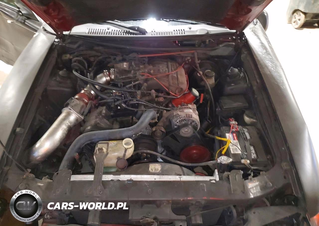 1998 Ford Mustang VIN:1FAFP4049WF242779 - 11