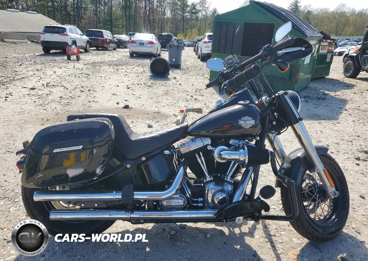 2015 Harley-Davidson Fls Softail Slim