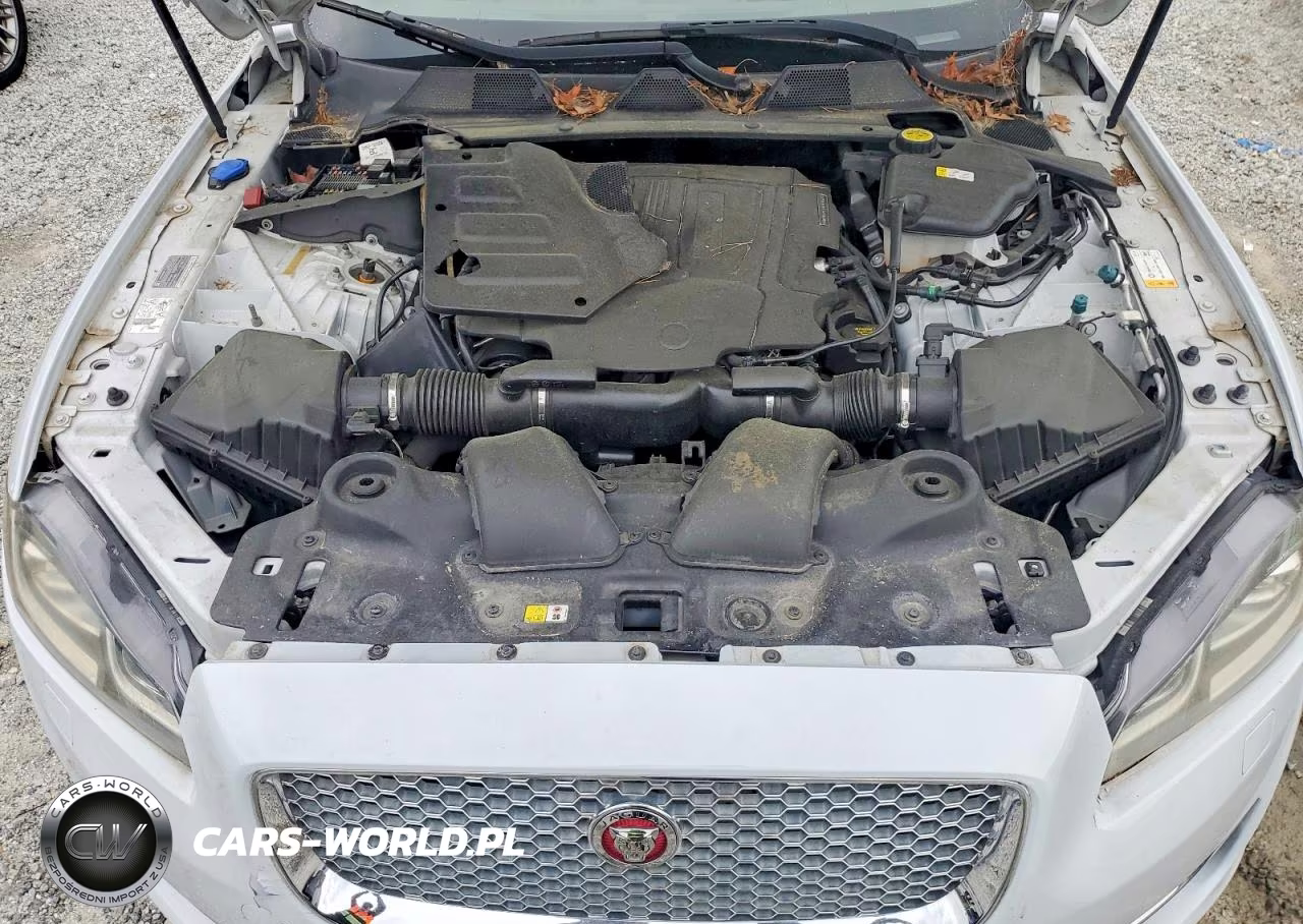 2017 Jaguar Xjl Portfolio VIN:SAJWA2G74H8W10715 - 11