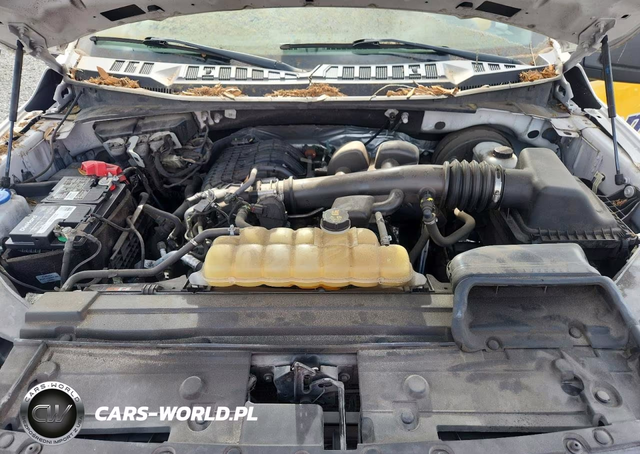 2019 Ford F150 VIN:1FTEW1CB0KFD10091 - 11