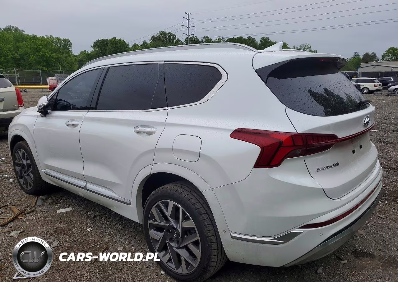 2022 Hyundai Santa Fe Calligraphy VIN:5NMS5DAL1NH435093 - 2