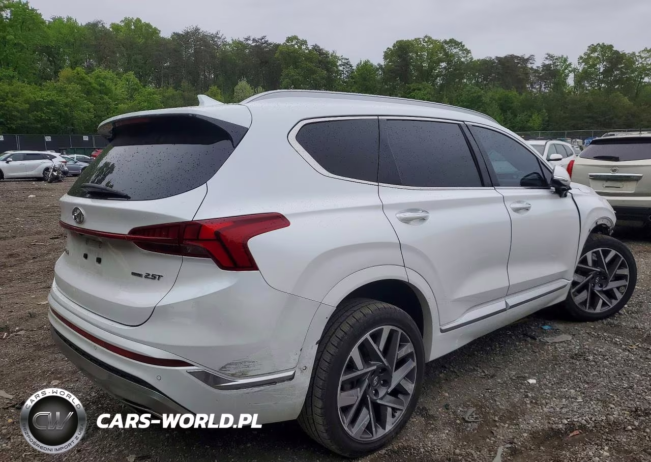 2022 Hyundai Santa Fe Calligraphy VIN:5NMS5DAL1NH435093 - 3