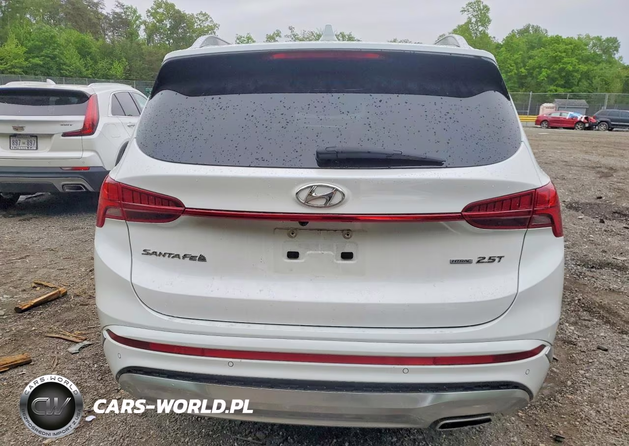 2022 Hyundai Santa Fe Calligraphy VIN:5NMS5DAL1NH435093 - 6