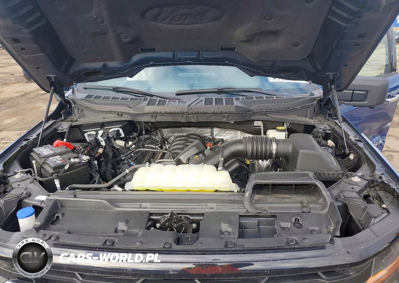 2024 Ford F150 Xlt VIN:1FTFW3L53RKF44172 - 11