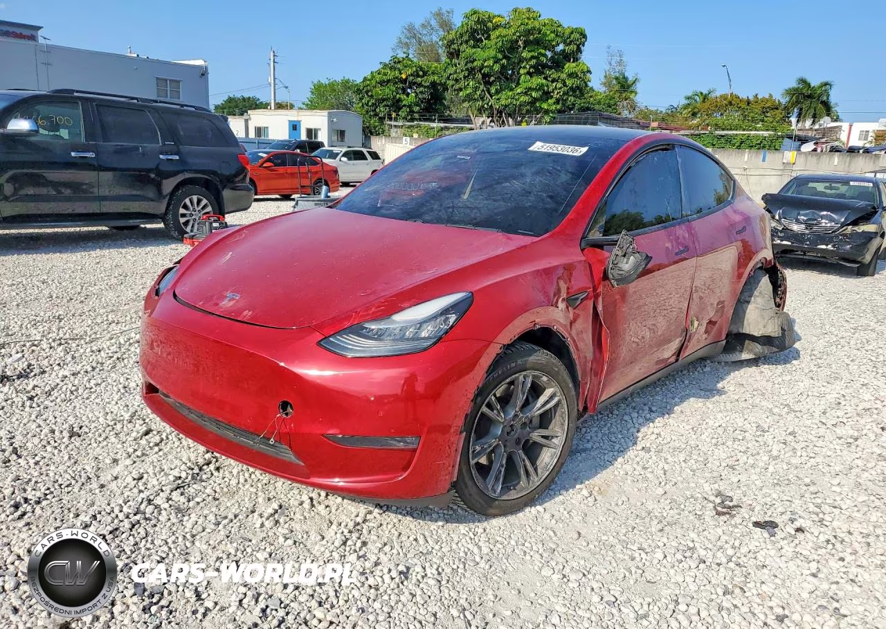 2020 Tesla Model Y