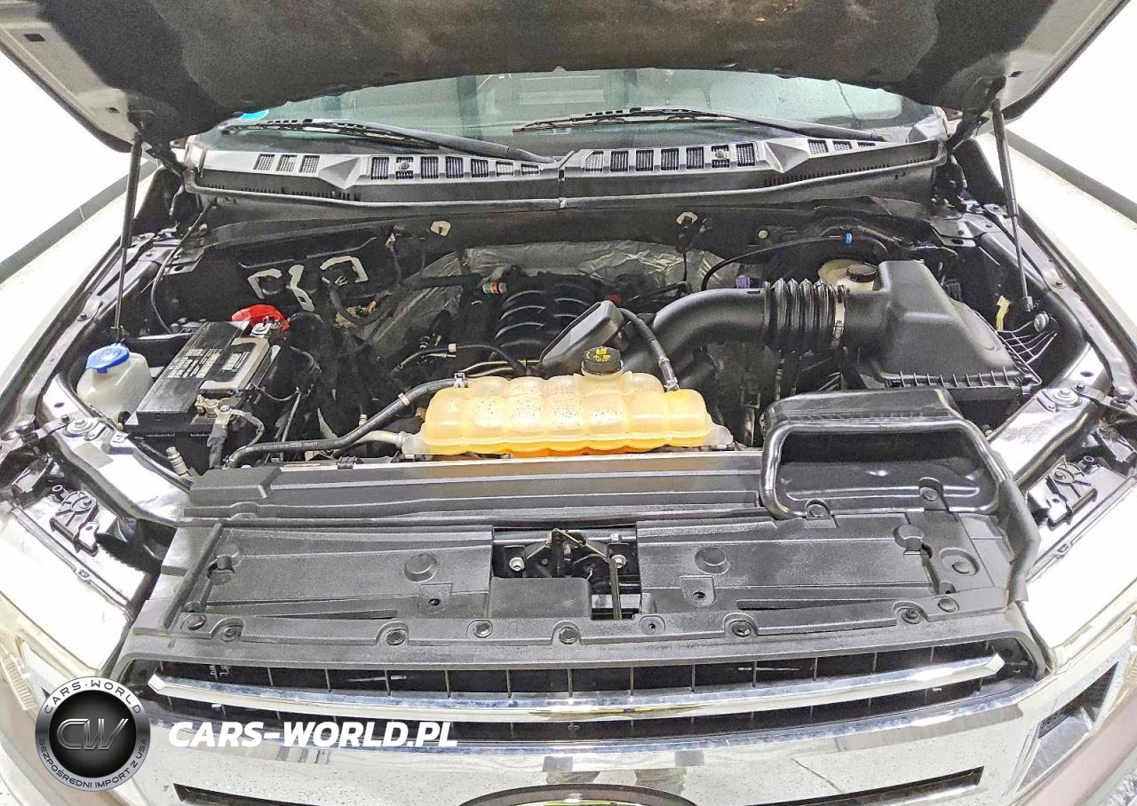 2018 Ford F150 Supercrew VIN:1FTEW1E59JFD79836 - 12