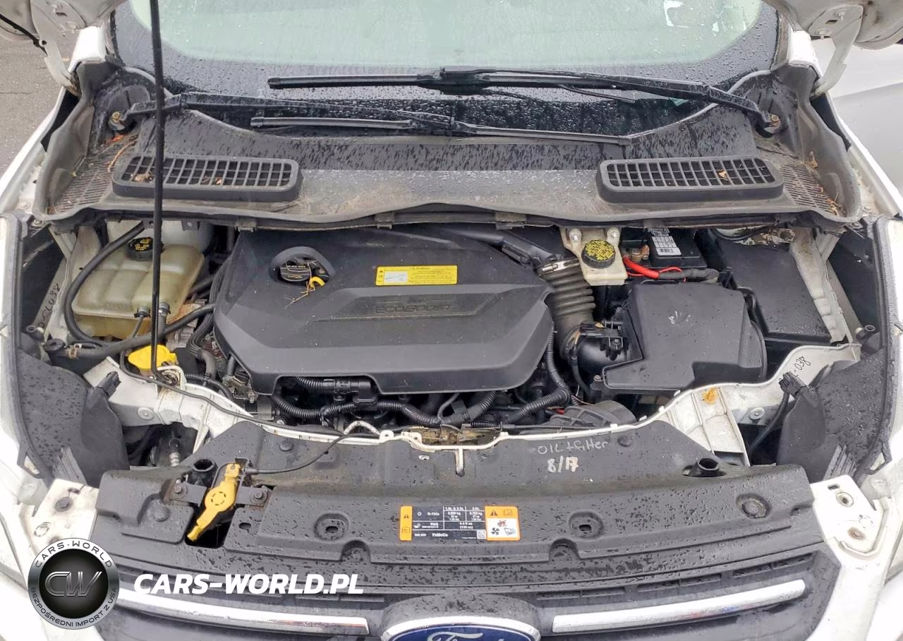 2013 Ford Escape Se VIN:1FMCU9GX2DUD71874 - 11