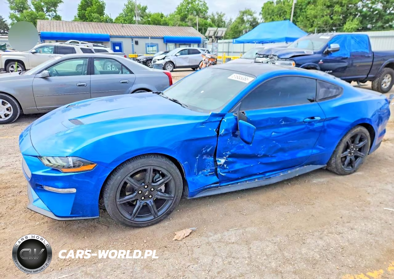 2019 Ford Mustang