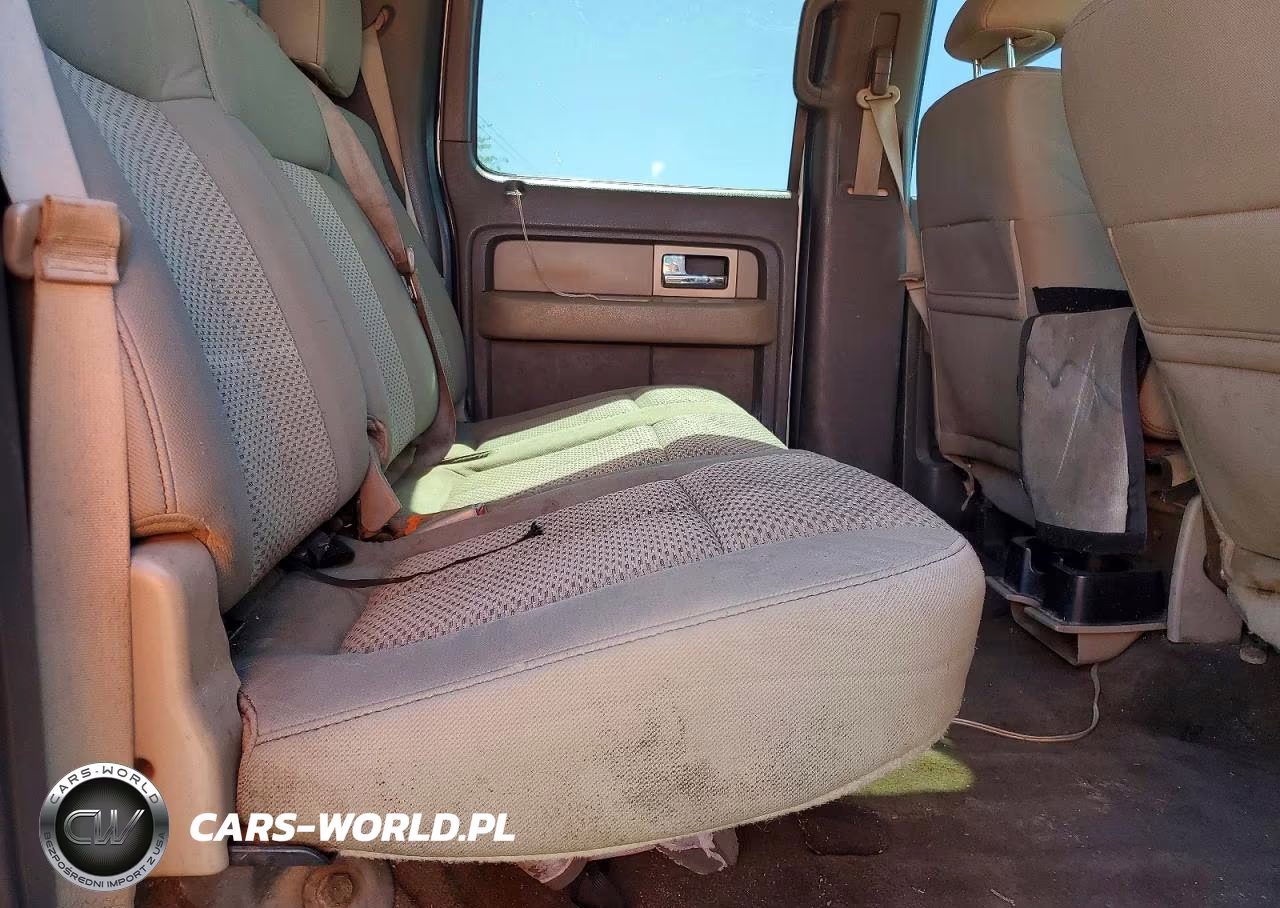 2010 Ford F150 Supercrew VIN:1FTEW1E88AFB34097 - 10