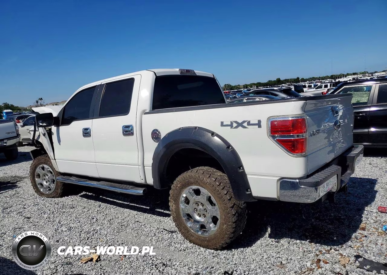 2010 Ford F150 Supercrew VIN:1FTEW1E88AFB34097 - 2