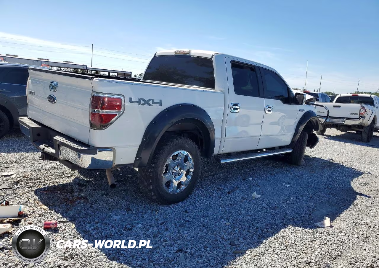 2010 Ford F150 Supercrew VIN:1FTEW1E88AFB34097 - 3