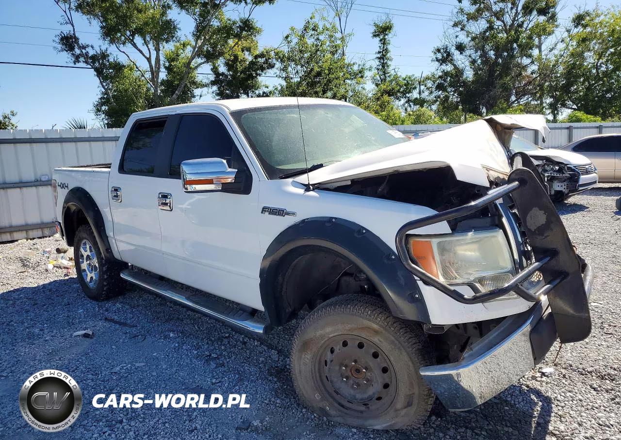 2010 Ford F150 Supercrew VIN:1FTEW1E88AFB34097 - 4