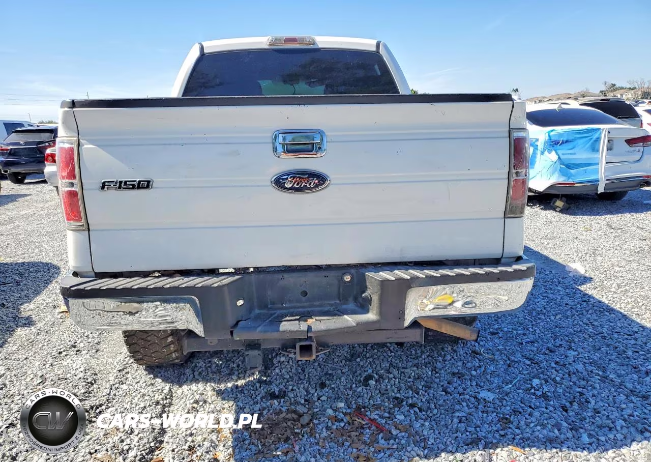 2010 Ford F150 Supercrew VIN:1FTEW1E88AFB34097 - 6