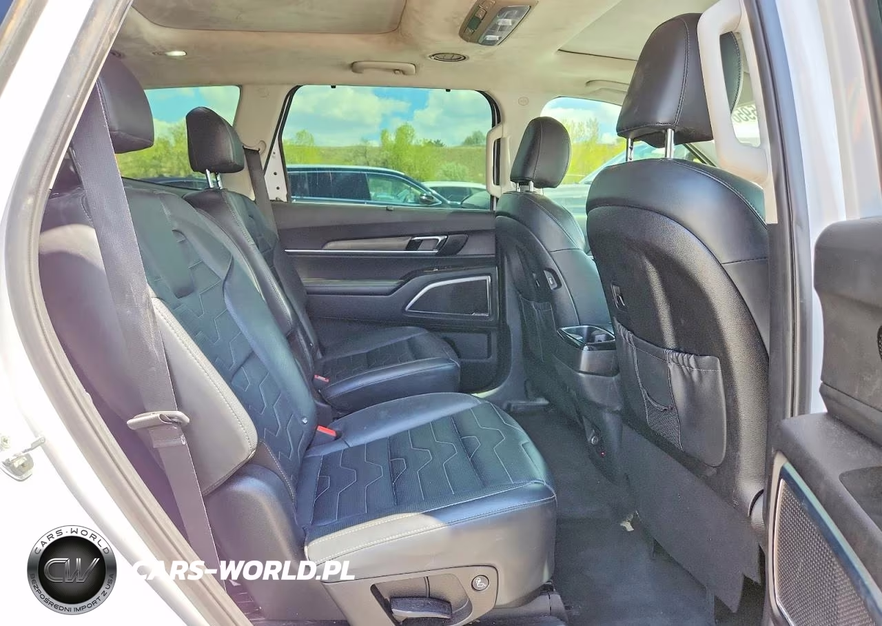 2021 Kia Telluride Sx VIN:5XYP5DHC3MG162940 - 11