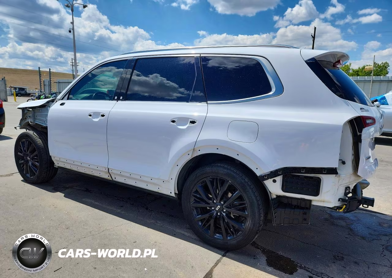 2021 Kia Telluride Sx VIN:5XYP5DHC3MG162940 - 2