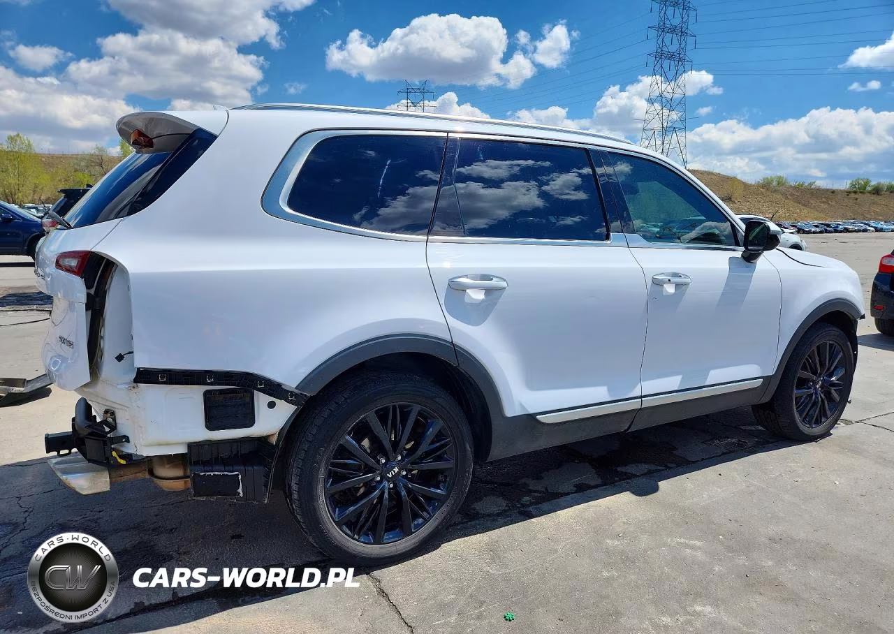 2021 Kia Telluride Sx VIN:5XYP5DHC3MG162940 - 3