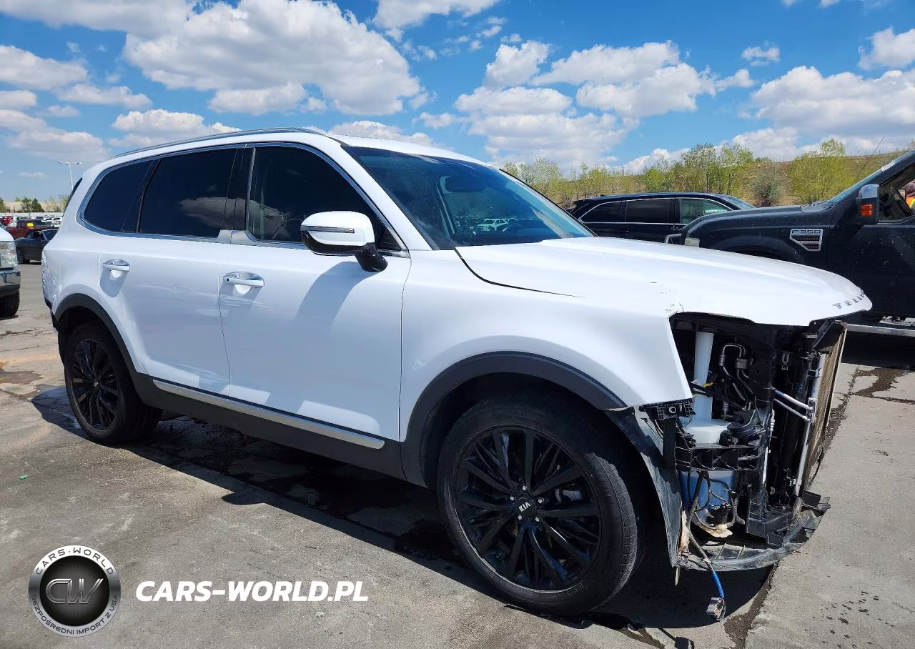 2021 Kia Telluride Sx VIN:5XYP5DHC3MG162940 - 4