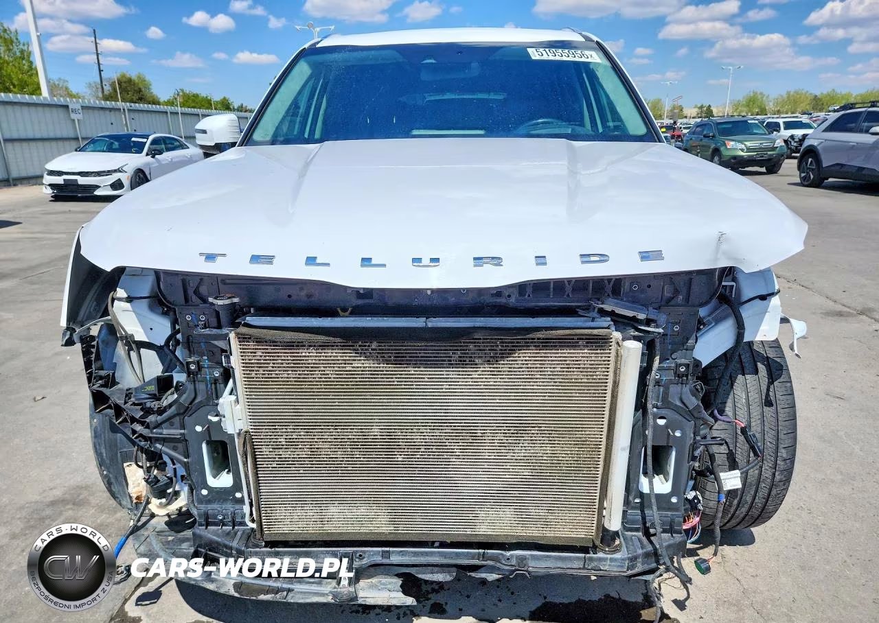 2021 Kia Telluride Sx VIN:5XYP5DHC3MG162940 - 5