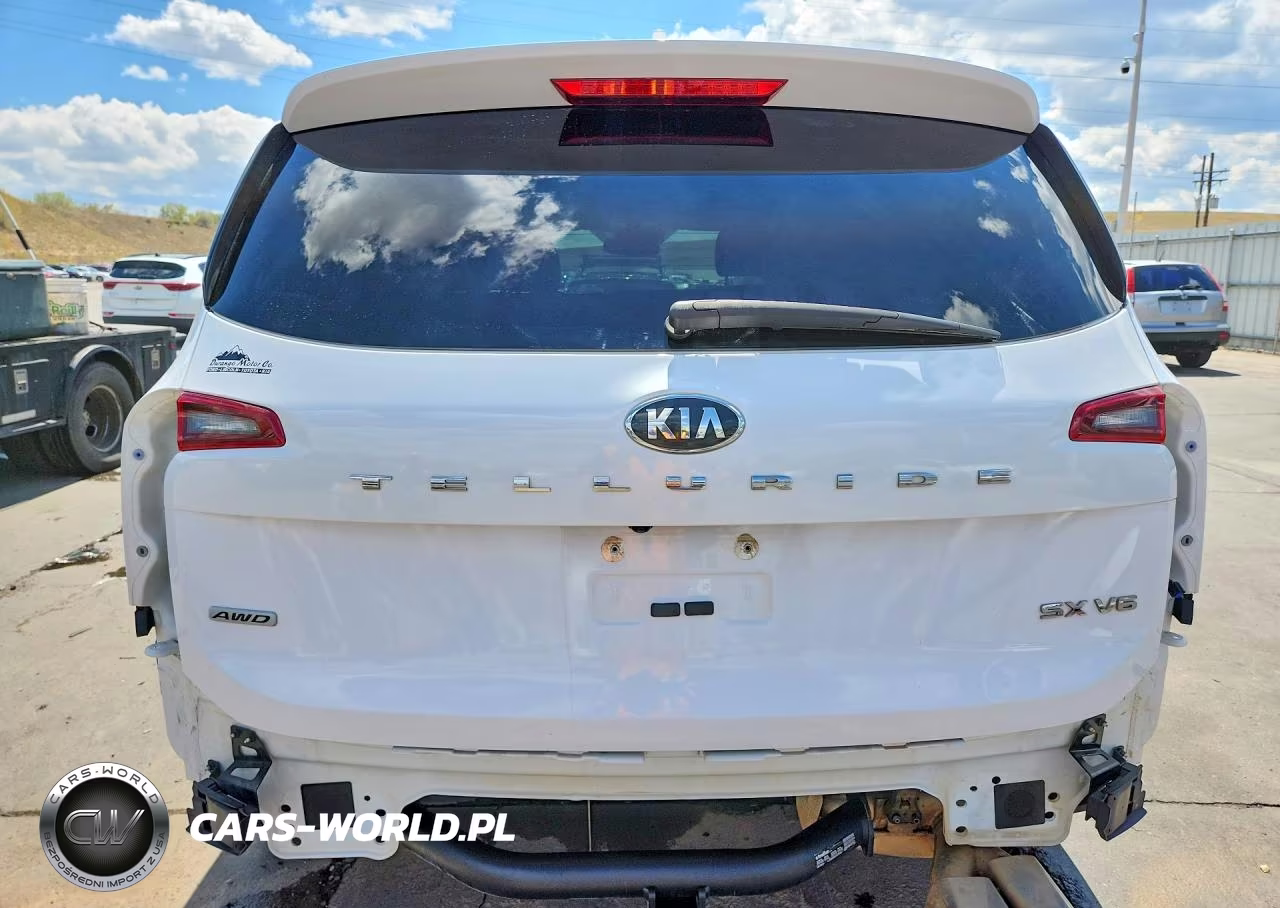 2021 Kia Telluride Sx VIN:5XYP5DHC3MG162940 - 6