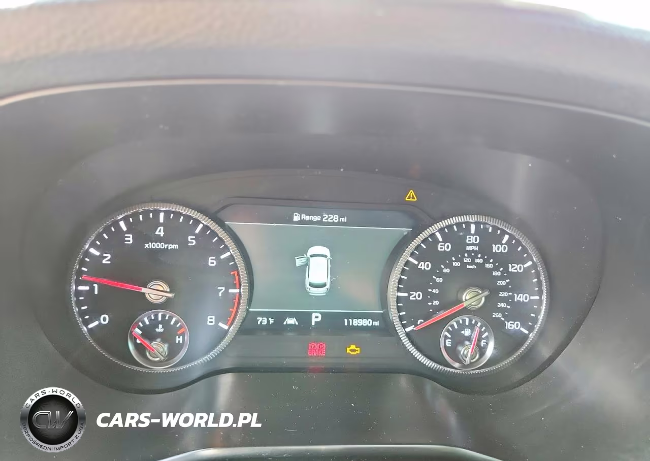 2021 Kia Telluride Sx VIN:5XYP5DHC3MG162940 - 9