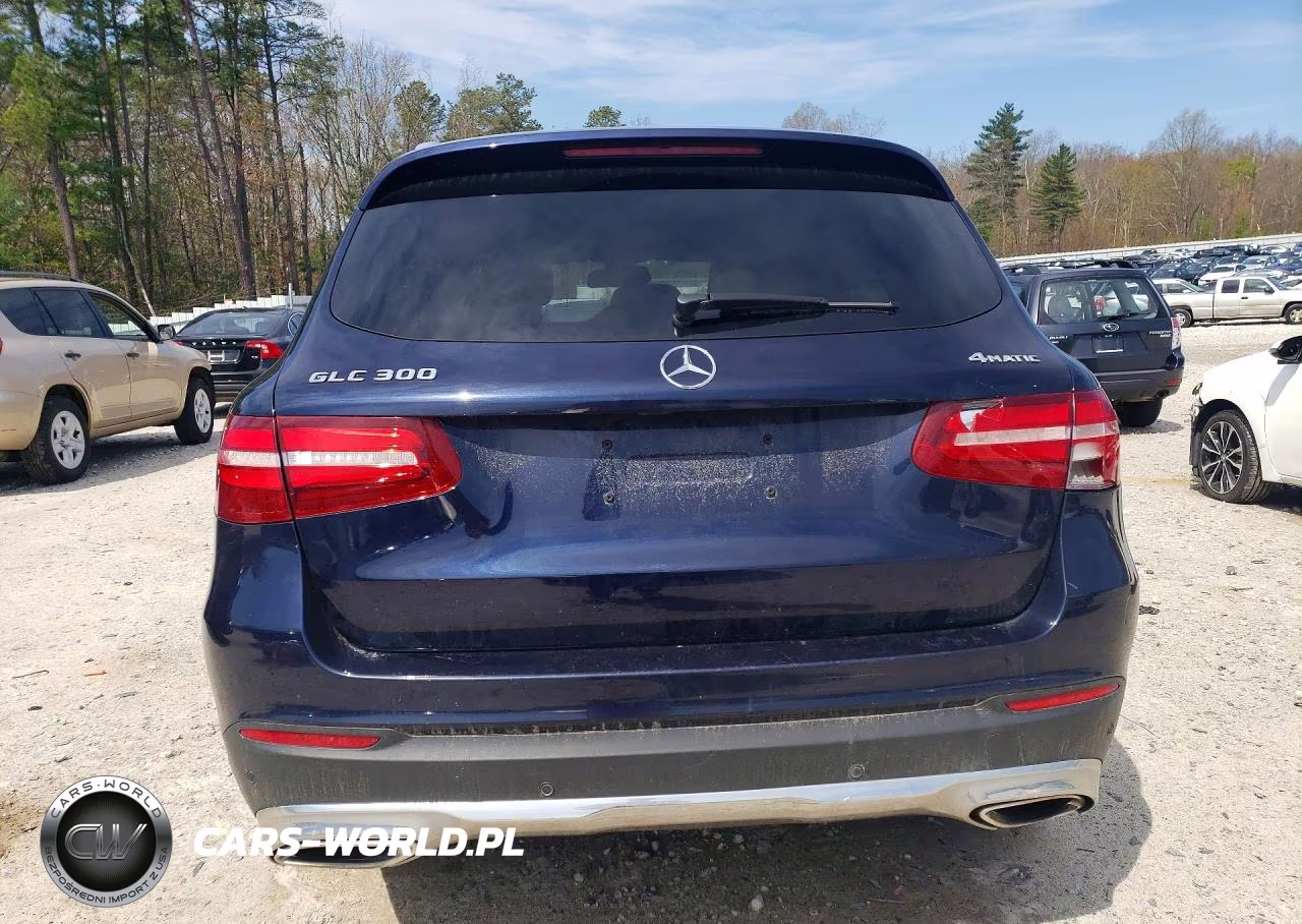 2017 Mercedes-Benz Glc 300 4Matic VIN:WDC0G4KB9HF199800 - 6