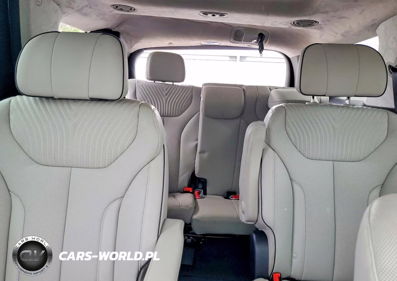 2025 Hyundai Palisade Calligraphy VIN:KM8R7DGE9SU807958 - 10